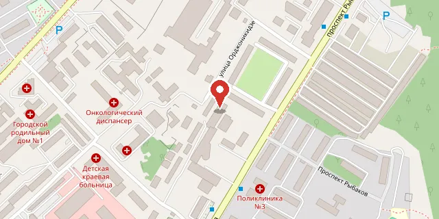 Карта: г. Петропавловск-Камчатский, пр. Рыбаков, д. 13, корп. «Б»