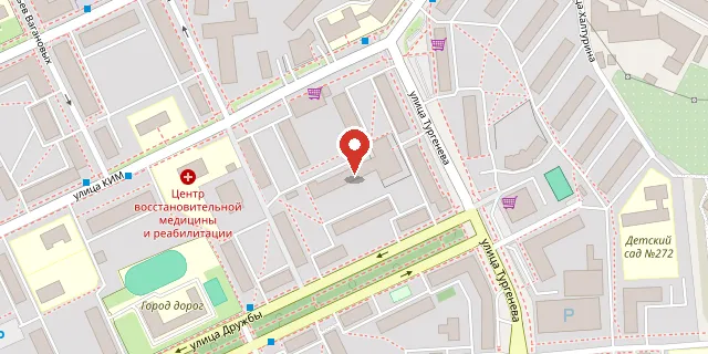Карта: г. Пермь, ул. Ким, 91 а